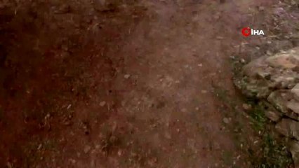 - Rusya'dan Halep'e hava saldırısı: 3 çocuk hayatını kaybetti