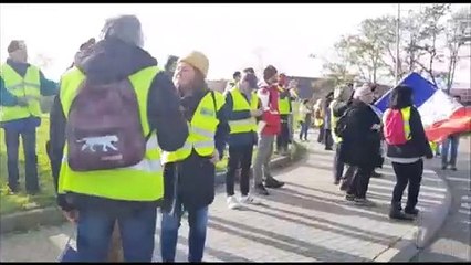 200 gilets jaunes à Colmar