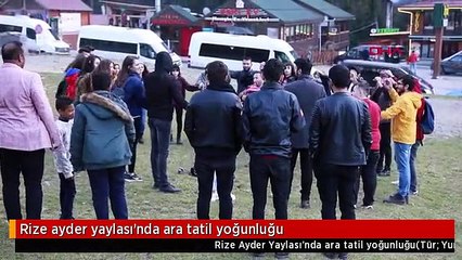 Rize ayder yaylası'nda ara tatil yoğunluğu