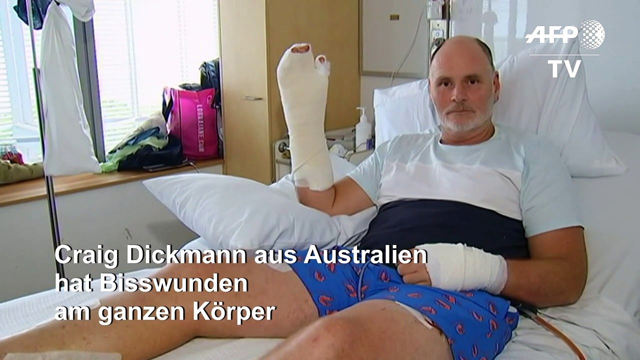 Australier bezwingt Krokodil mit Daumenstich ins Auge