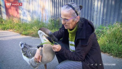 Ailenin sevimli üyesi Çin kazı "Kirli"