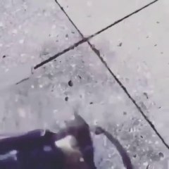 INSANE MAGIC TRICK WITH WATER (DO NOT TRY AT HOME)