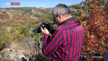 Fotoğrafçılar sonbahar manzaraları için rotasını Manisa'ya çevirdi