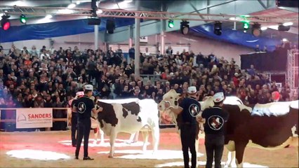 Besançon (25) : Le grand National au bout de la nuit