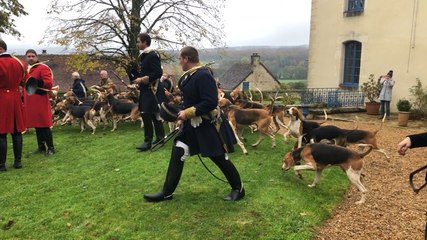 Chasse à courre et opposants
