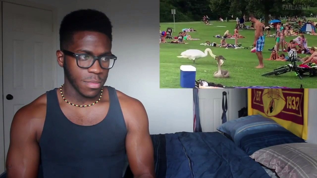 Funny Animal Fails | 2016 REACTION!!!