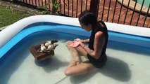 Elle entraine ses rats à plonger dans la piscine