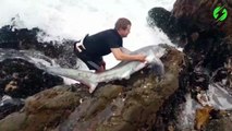 Cet homme courageux prend d énormes risques pour sauver un requin échoué dans les rochers