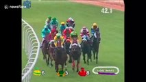 Shocking moment three jockeys fall from racing horses in India