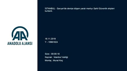 Denize düşen kanadı kırık martıyı Sahil Güvenlik ekipleri kurtardı - İSTANBUL