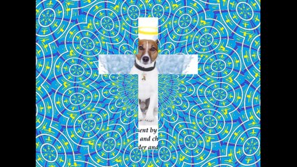 The animals are little angels sent by God, to cheer our hearts! [Quotes and Poems]