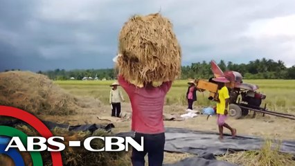 Wakas ng Paggapas? | Ika-2 Bahagi | Part 2 | Failon Ngayon