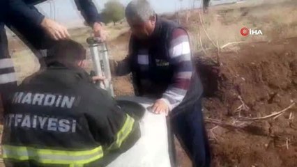 Vicdansızlığın bu kadarı pes dedirtti.