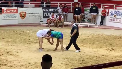 Patada a un árbitro de lucha canaria
