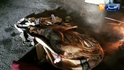 شاهد .. شباب يسعفون كلب مصاب بجروح وسط البليدة