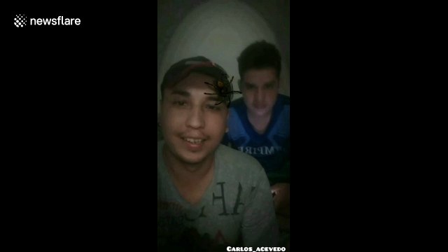 Hilarious spider filter gets a man in Colombia slapped on the face