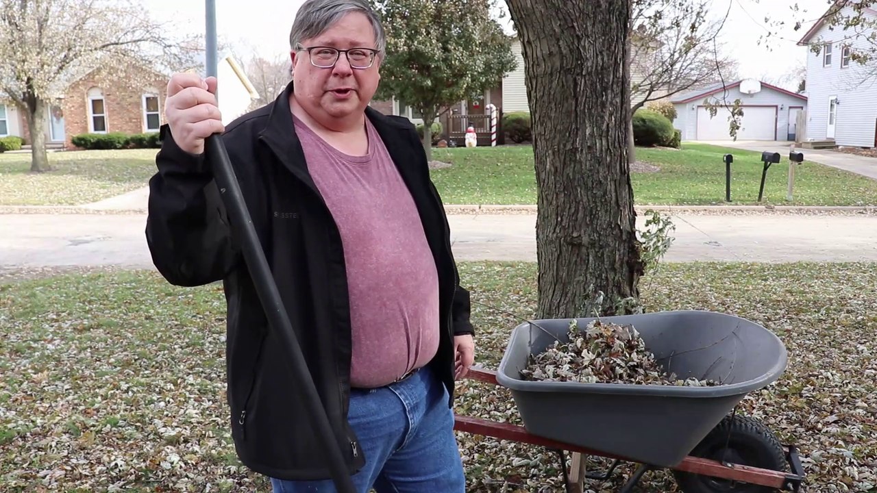 What to do with leaves