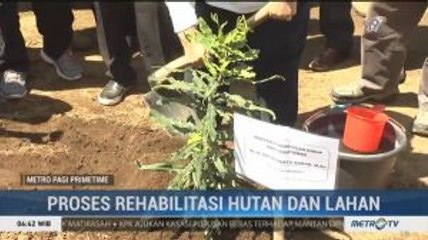 Menteri LHK Tinjau Lokasi Pembibitan Tanaman di Tegal
