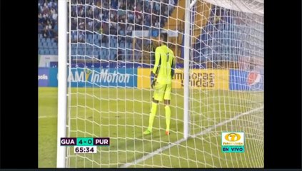 Chica interrumpe el partido entre Guatemala y Puerto Rico entrando el campo de juego