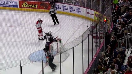 Hershey Bears Vs Charlotte Checkers