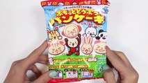 Puchitto Doobutsu DIY Animal Panda Shape Pancake Japanese Candy Making Kit-