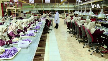 Iran Expecting To Boost Exports Of Its 'Red Gold' Saffron