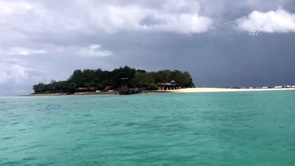 Ev sahibinin hikayesini anlatan ahşap kapıları