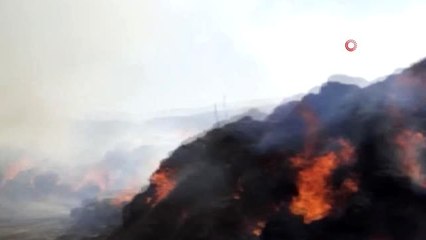 30 bin ot balyası yangında kül oldu