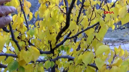 Kapadokya'da sonbahar güzelliği