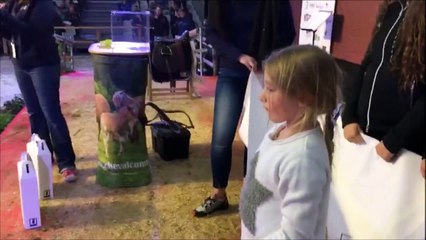 Vache de salon à Besançon (25) : Emmanuel Bouillon remporte la pouliche du centenaire lors du tirage de la tombola