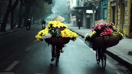 NetViet stories-17/11/2019