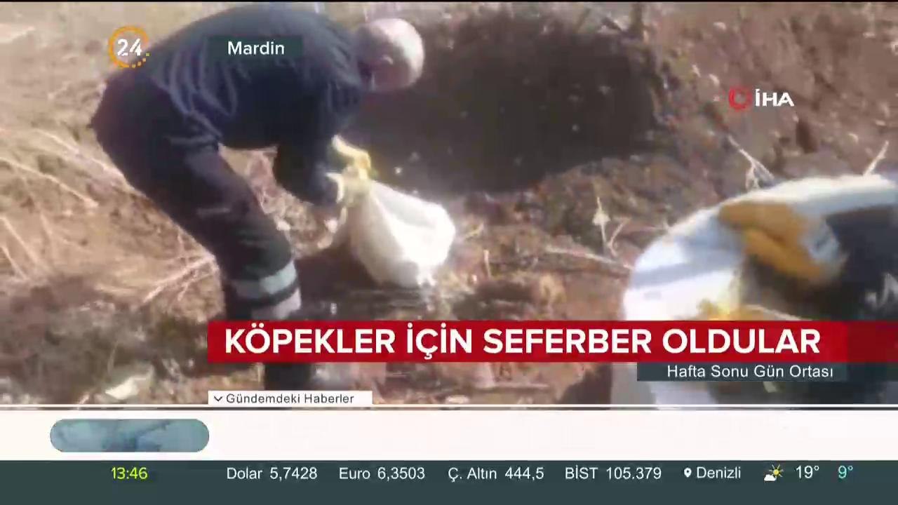 Moderatör