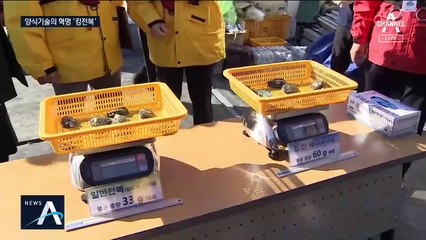 전복·갑오징어 ‘양식 신기술’ 개발…‘반값’으로 즐긴다