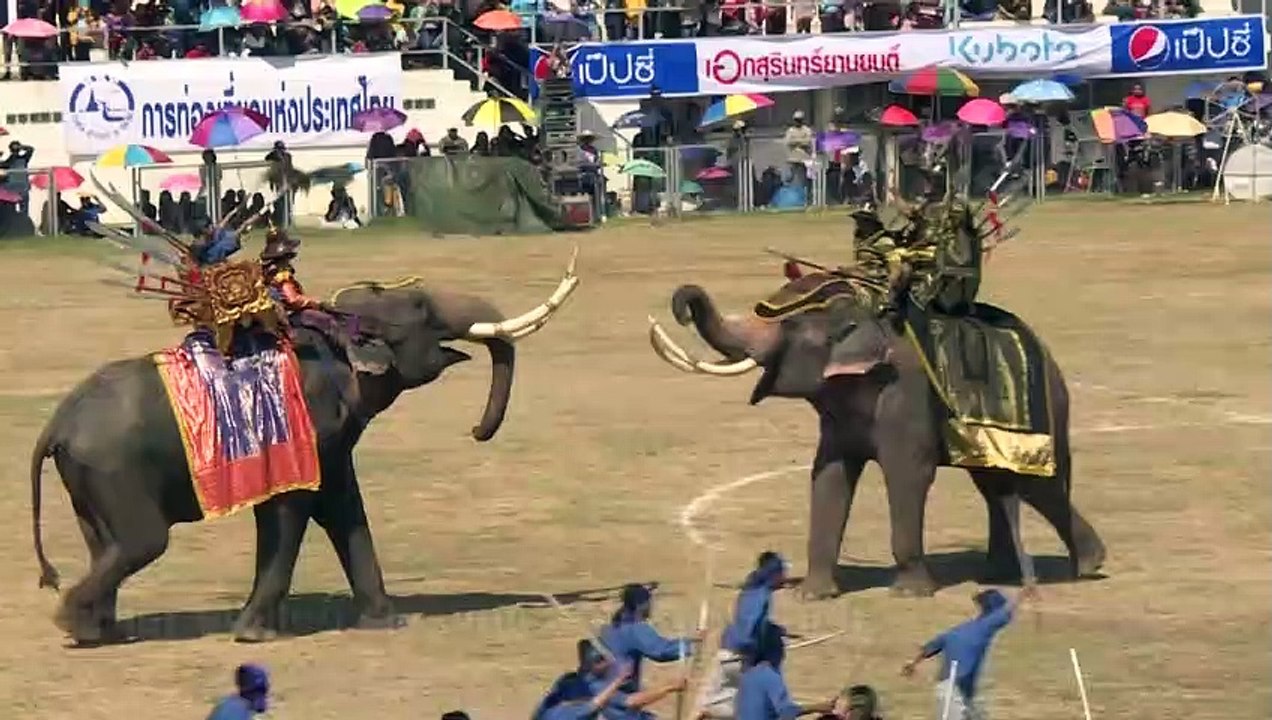 Elefanten in Thailand stellen Schlacht nach