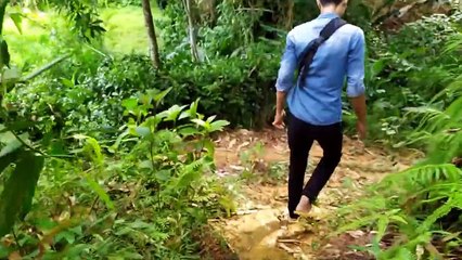 #11 CN Vlog | THĂM VƯỜN CHUỐI TIÊU HỒNG P1. CHUỐI TIÊU MÀU HỒNG HAY CHỈ LÀ CÁI TÊN?