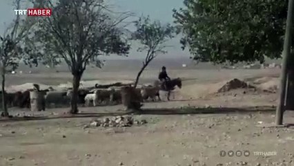Rasulayn'da tarım ve hayvancılık faaliyetleri başladı