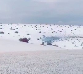 شاهد: البرد يكسو رمال النفود السعودية بالبياض