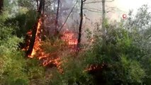 Osmaniye'deki orman yangınını söndürme çalışmaları sürüyor