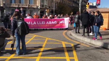 Download Video: Manifestantes en Barcelona contra la 'Ley Aragonès'