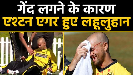 Marsh Cup 2019 : Ashton Agar left blood-soaked after dropping brother Wes Agar |वनइंडिया हिंदी