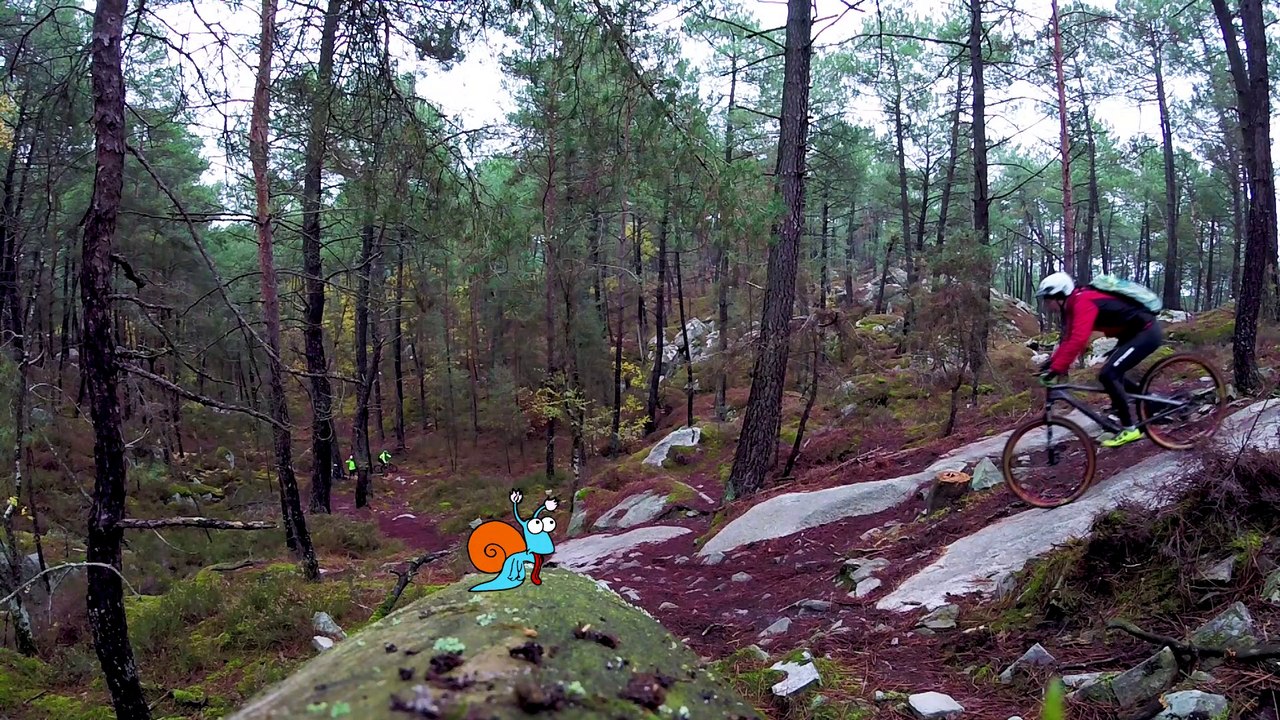 2019-11-17- VTT Bleau