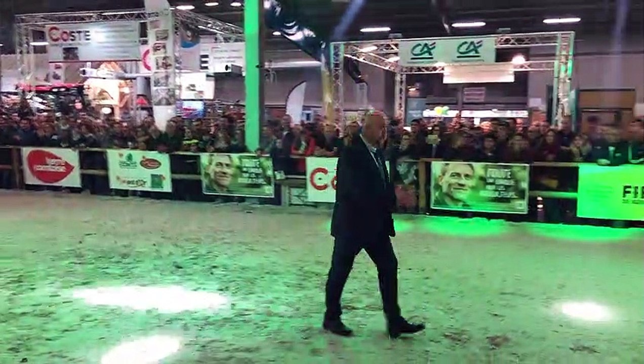 Vache de salon à Besançon (25) : annonce de la grande championne du concours national 2019