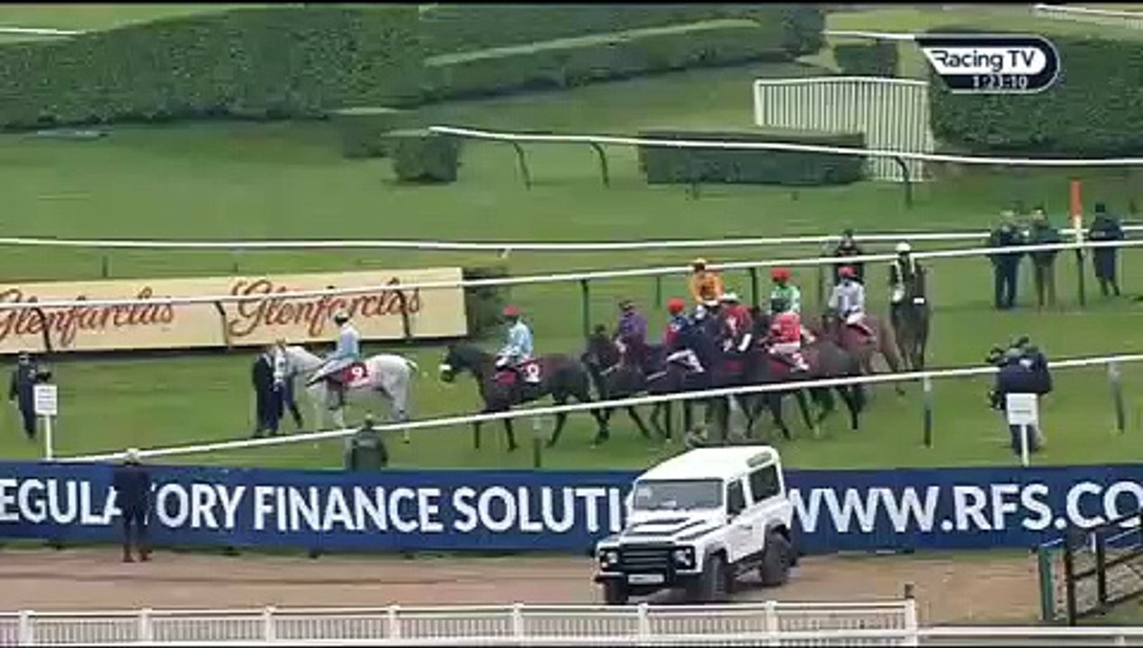 Cross cheltenham diesel d'allier - urgent de gregaine