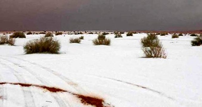 Suudi Arabistan'da çöle kar yağdı: Bölge halkı beyaza bürünen çöle akın etti