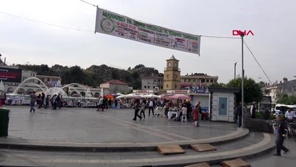 Marmaris'te köpekler güzellik ve yetenekleri için yarıştırıldı