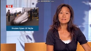 Indslag med Finhval i Vejle på TV SYD den 28 Juni 2010.