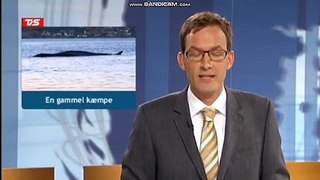 Indslag med Finhval i Vejle på TV SYD den 28 Oktober 2010.