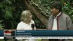 teleSUR Noticias: Pueblo venezolano se moviliza en apoyo a Bolivia