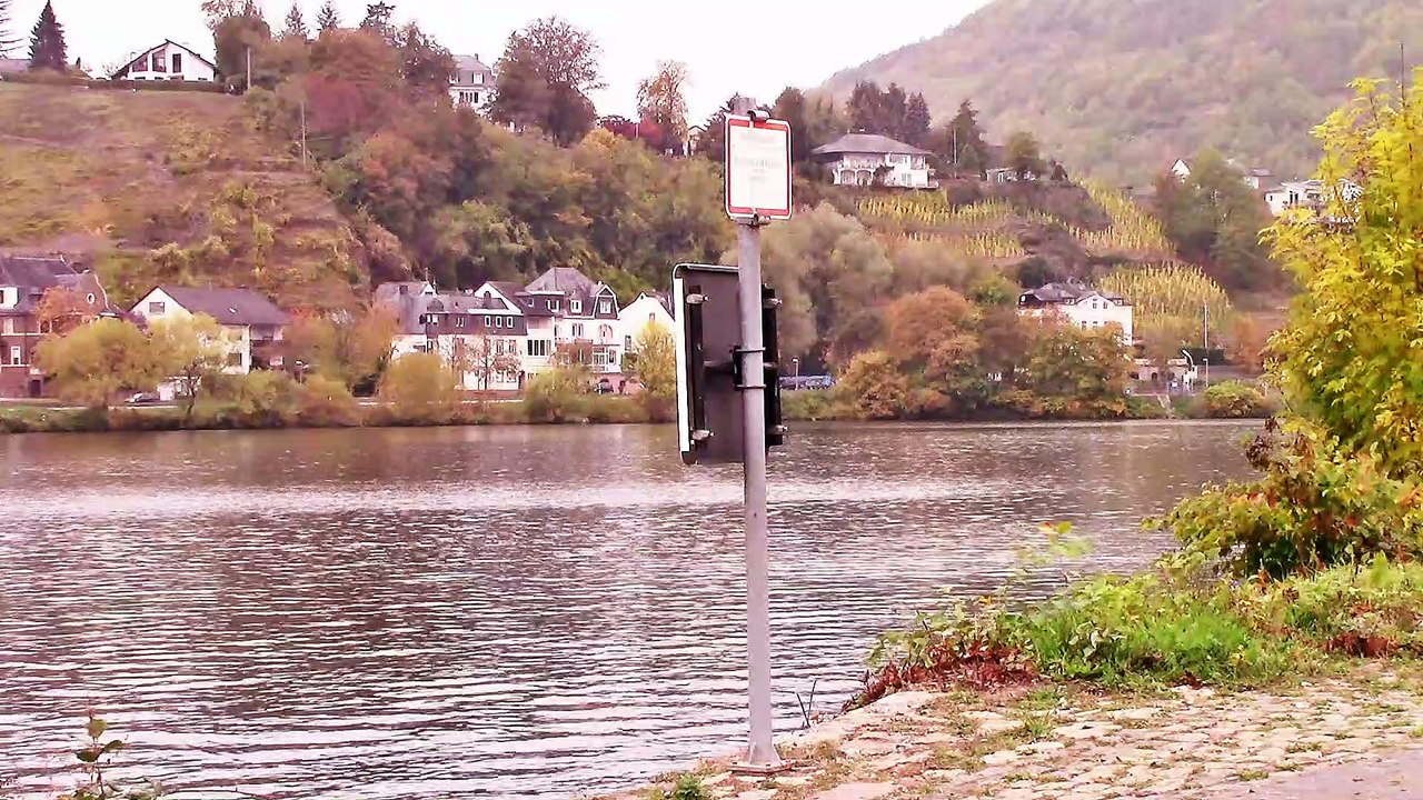 Blicke auf Alf an der Mosel