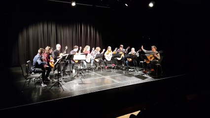 Altkirch : quand les élèves guitaristes jouent avec leurs professeurs